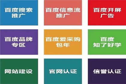 揭秘百度推广：成功案例背后的秘诀